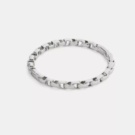 Armband med kedja och gångjärn
