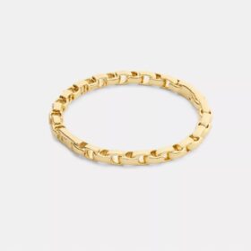 Armband med kedja och gångjärn