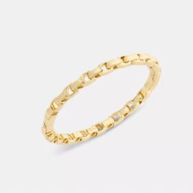 Armband med kedja och gångjärn