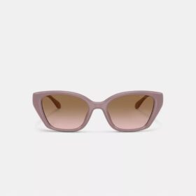 C-detaljer, fyrkantiga solglasögon i cat-eye-stil