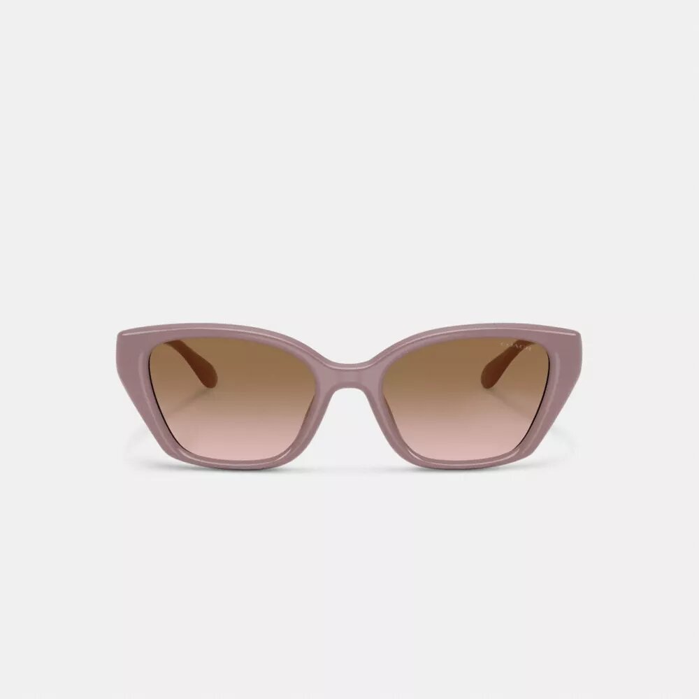C-detaljer, fyrkantiga solglasögon i cat-eye-stil