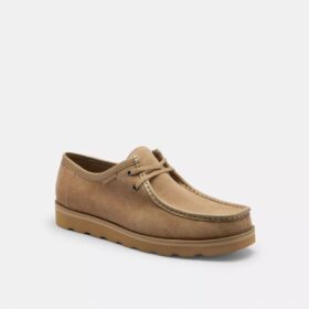 Chukka-sko med Signature Canvas