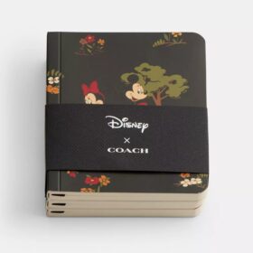 Disney X Coach mininotebook-set med Musse Pigg och vänner