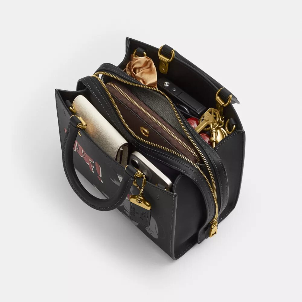 Disney X Coach Rogue-väskor 25 med Pluto