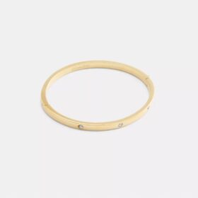 Essential armring med gångjärn
