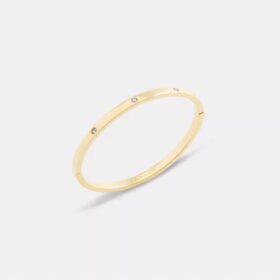 Essential armring med gångjärn