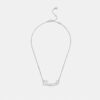 Halsband med namnskylt i Coach Script