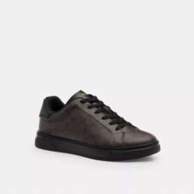 Höga sneakers i Signature Canvas