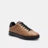 Höga sneakers i Signature Canvas