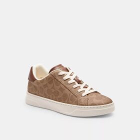 Höga sneakers i Signature Canvas