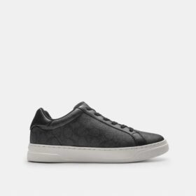 Höga sneakers i Signature Canvas