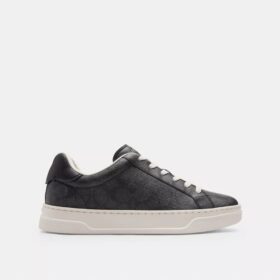 Höga sneakers i Signature Canvas