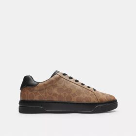 Höga sneakers i Signature Canvas