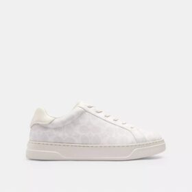 Höga sneakers i Signature Canvas