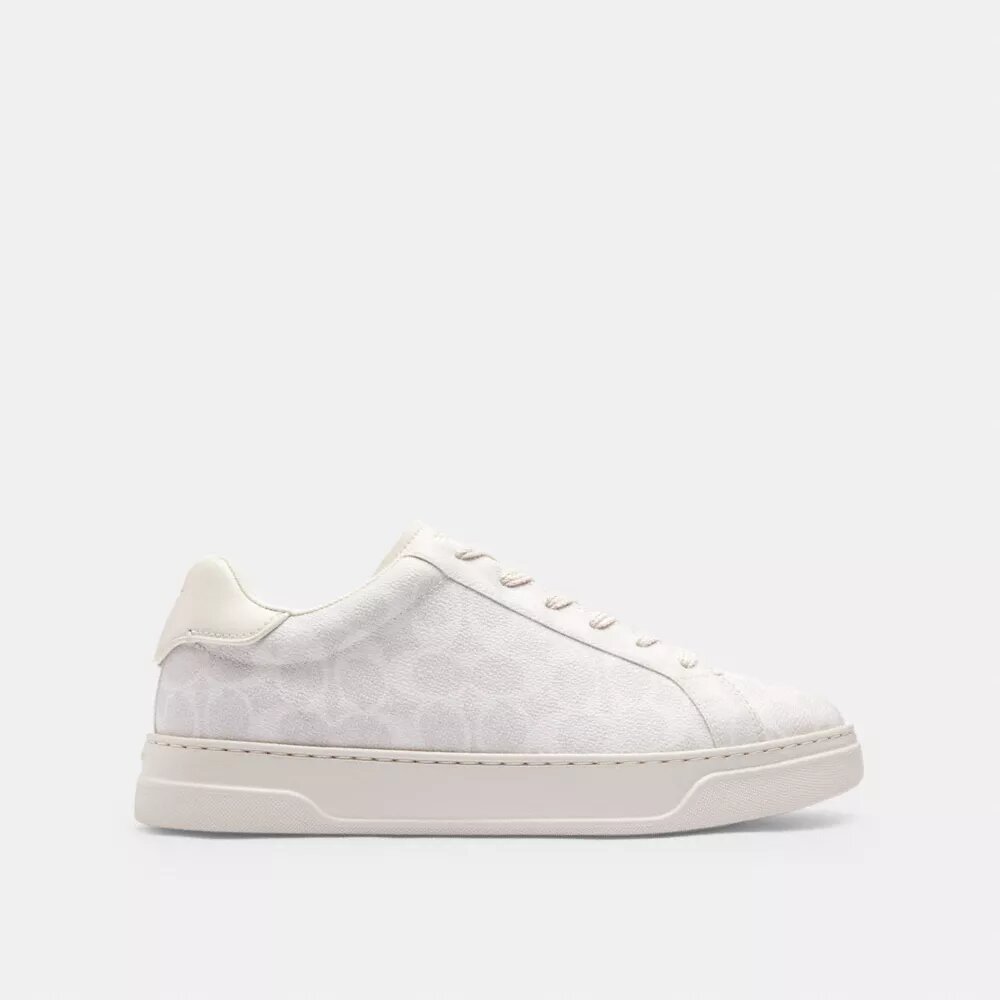 Höga sneakers i Signature Canvas