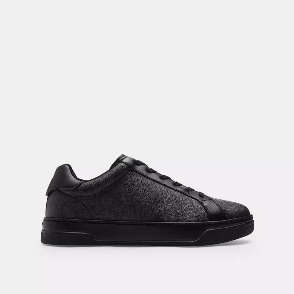 Höga sneakers i Signature Canvas