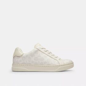 Höga sneakers i Signature Canvas