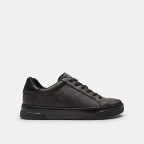 Höga sneakers i Signature Canvas