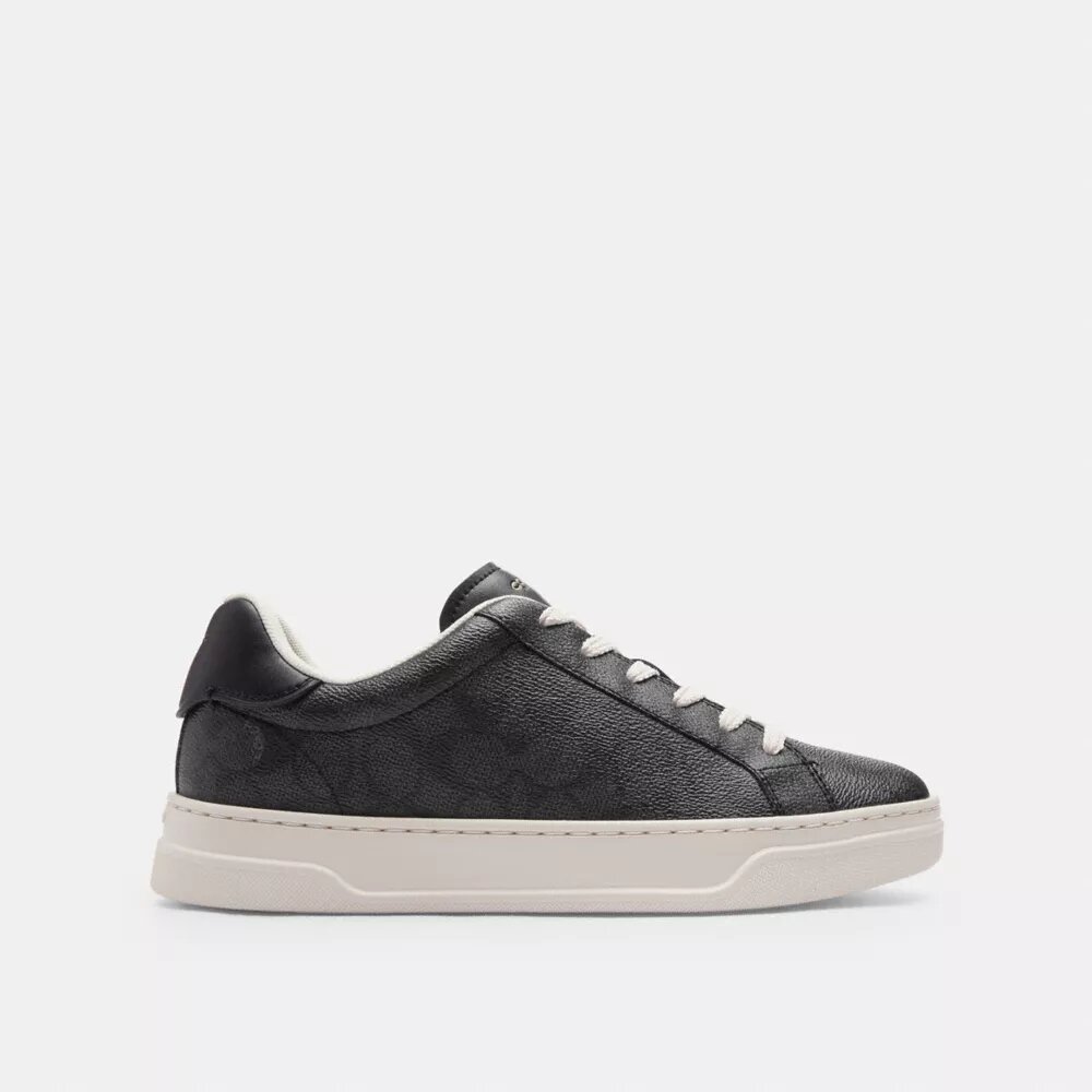 Höga sneakers i Signature Canvas