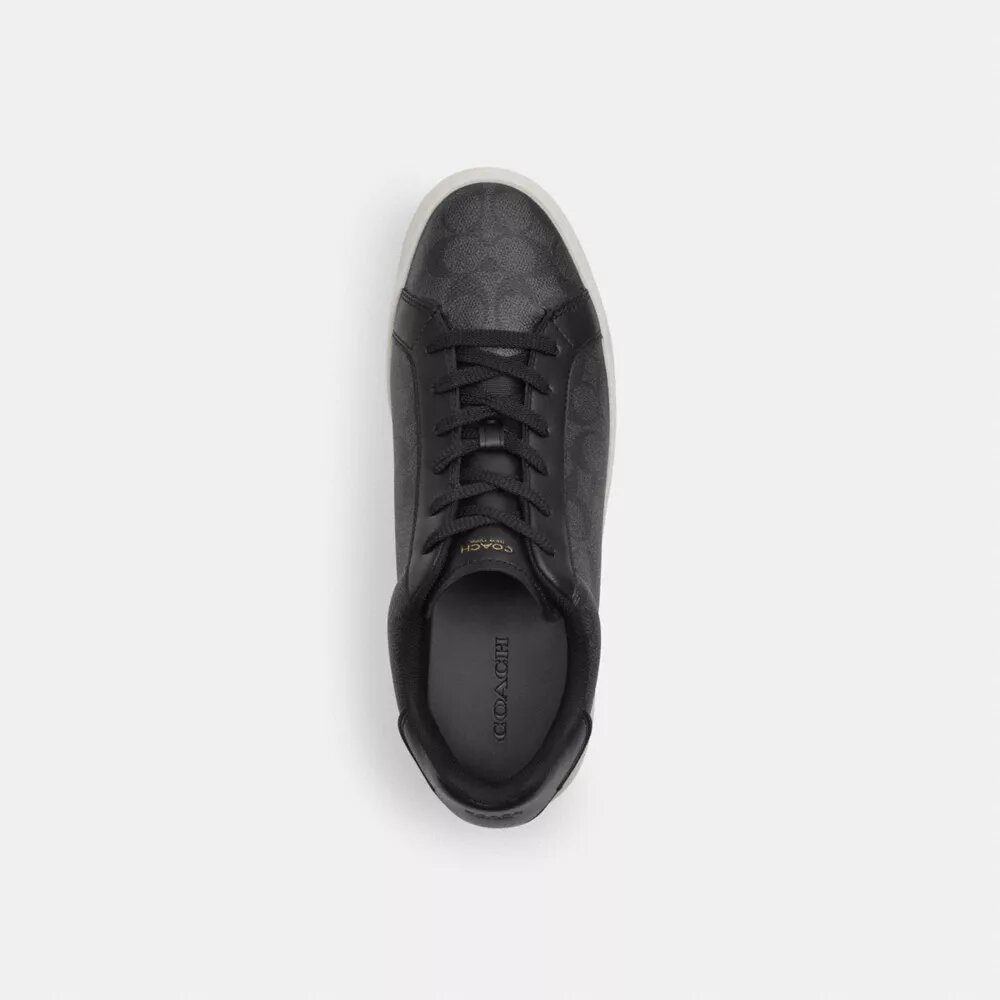 Höga sneakers i Signature Canvas