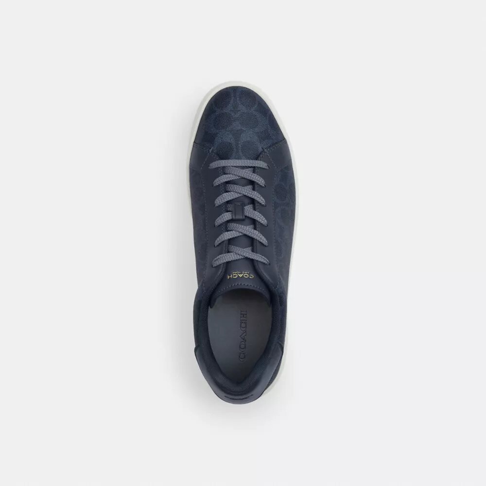 Höga sneakers i Signature Canvas