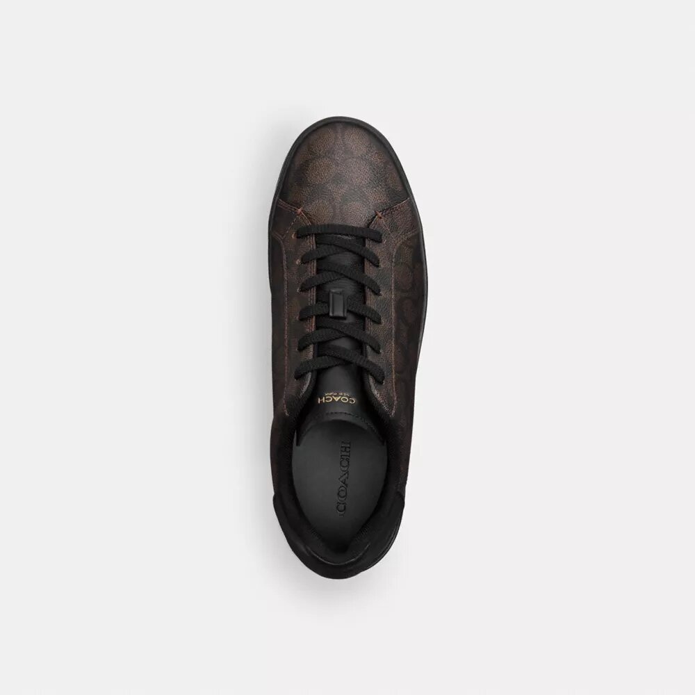 Höga sneakers i Signature Canvas