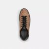 Höga sneakers i Signature Canvas