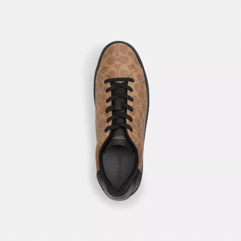 Höga sneakers i Signature Canvas