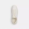 Höga sneakers i Signature Canvas