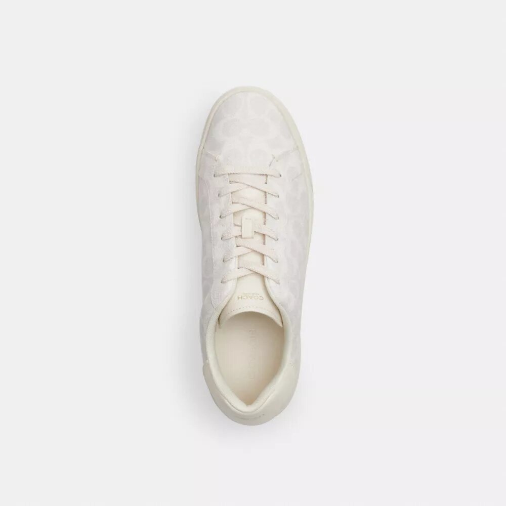 Höga sneakers i Signature Canvas
