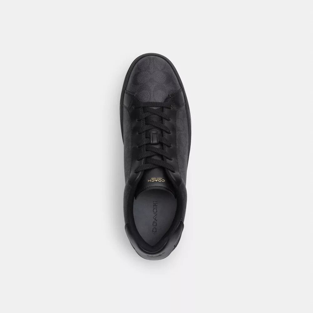 Höga sneakers i Signature Canvas