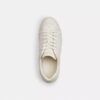 Höga sneakers i Signature Canvas