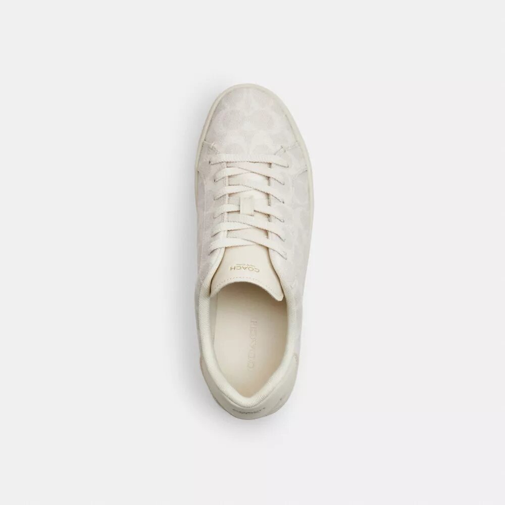 Höga sneakers i Signature Canvas