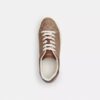 Höga sneakers i Signature Canvas