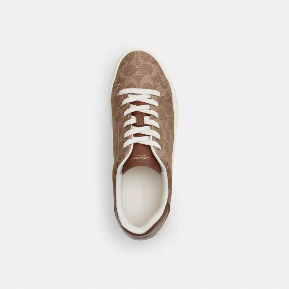 Höga sneakers i Signature Canvas