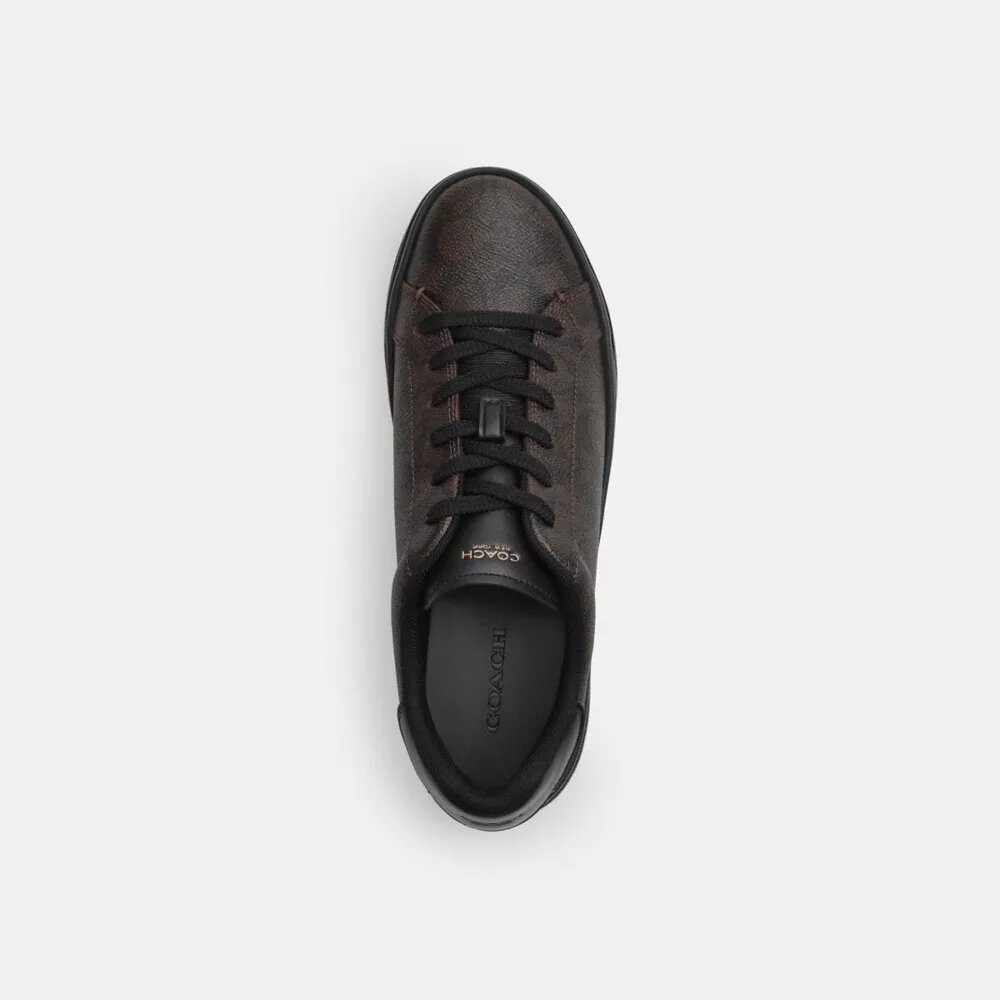 Höga sneakers i Signature Canvas