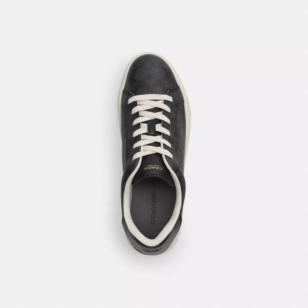 Höga sneakers i Signature Canvas