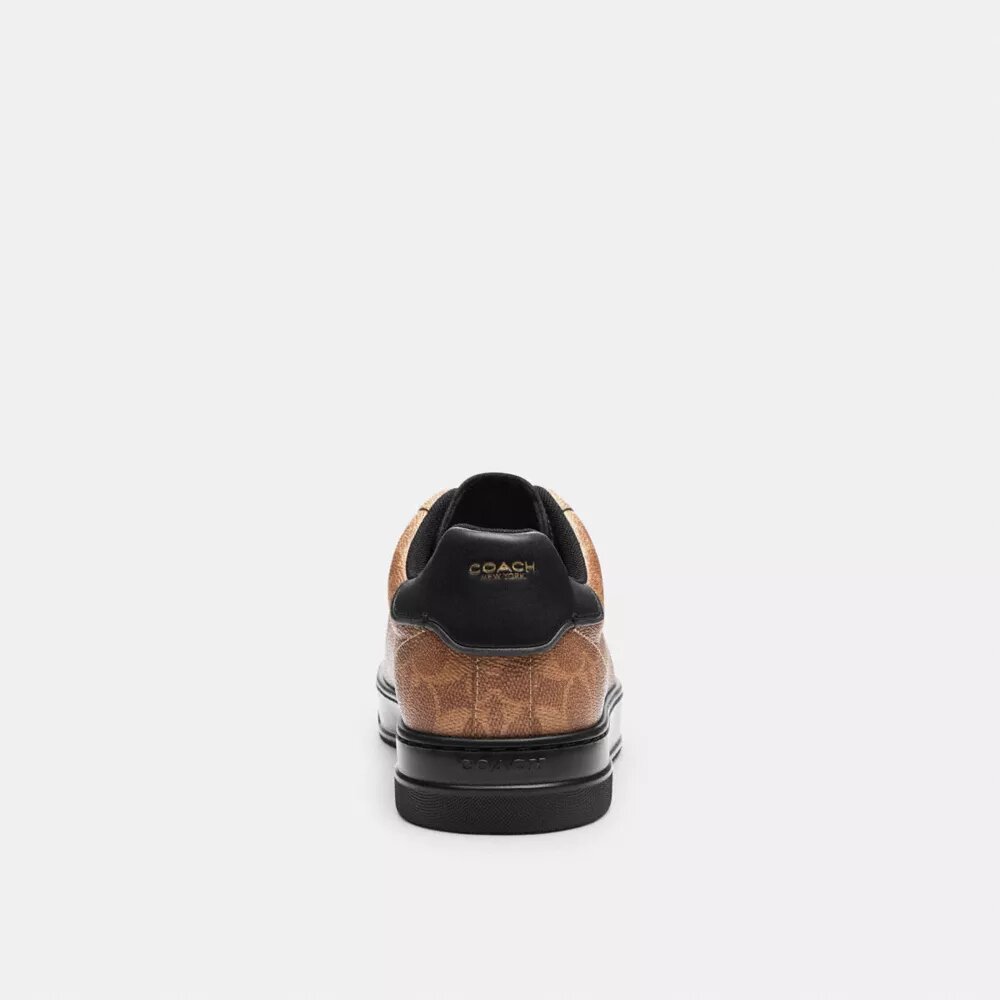 Höga sneakers i Signature Canvas