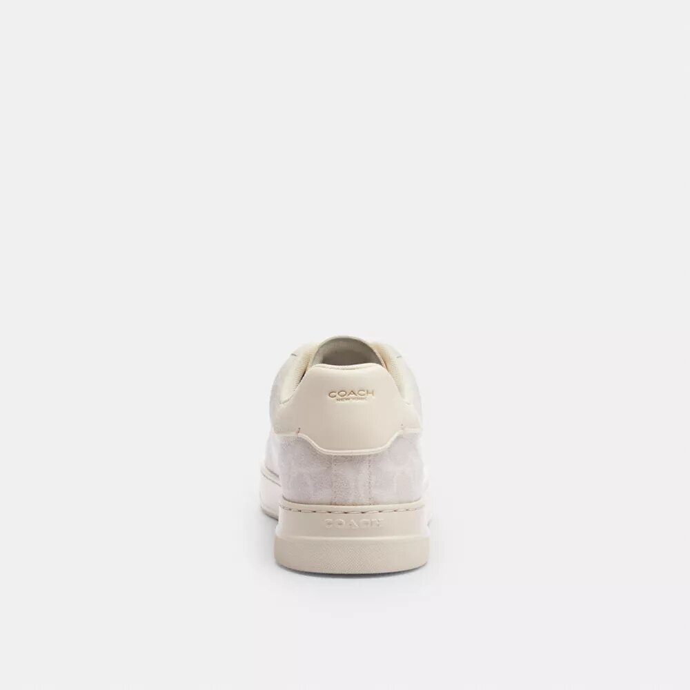 Höga sneakers i Signature Canvas