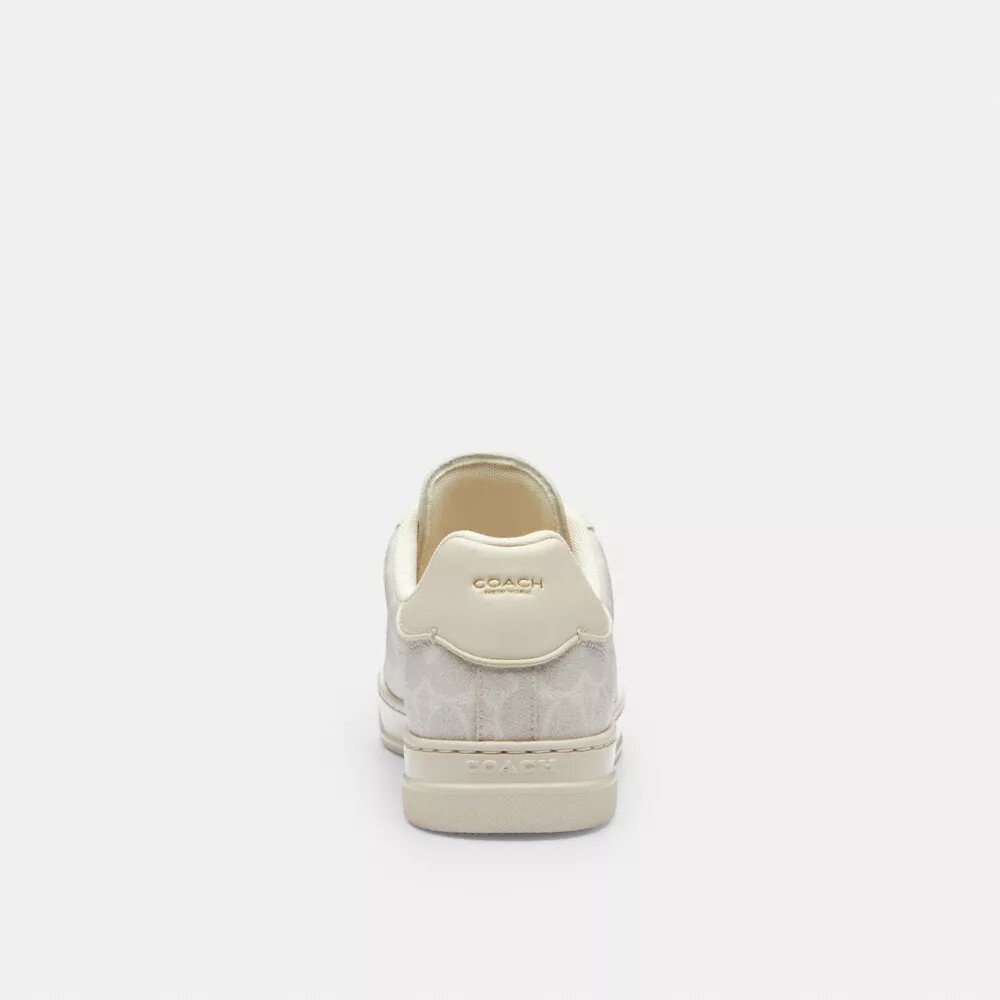 Höga sneakers i Signature Canvas
