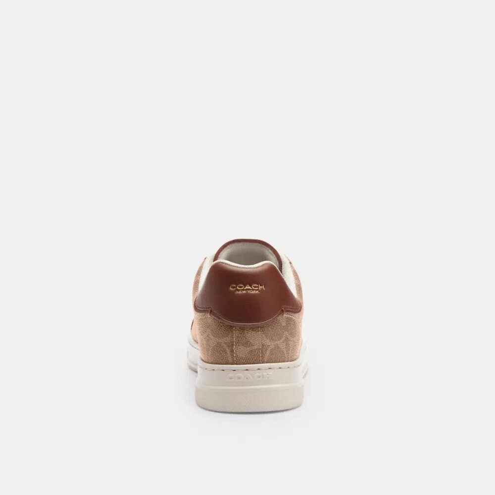 Höga sneakers i Signature Canvas
