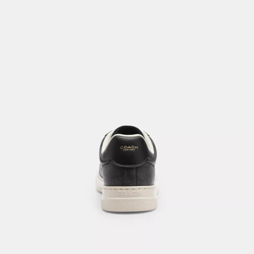 Höga sneakers i Signature Canvas