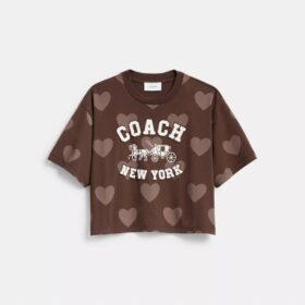 Horse and Carriage-motiv med hjärta – kort T-shirt i ekologisk bomull
