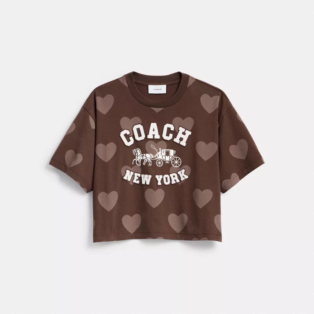 Horse and Carriage-motiv med hjärta – kort T-shirt i ekologisk bomull