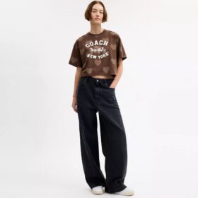 Horse and Carriage-motiv med hjärta – kort T-shirt i ekologisk bomull