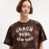 Horse and Carriage-motiv med hjärta – kort T-shirt i ekologisk bomull