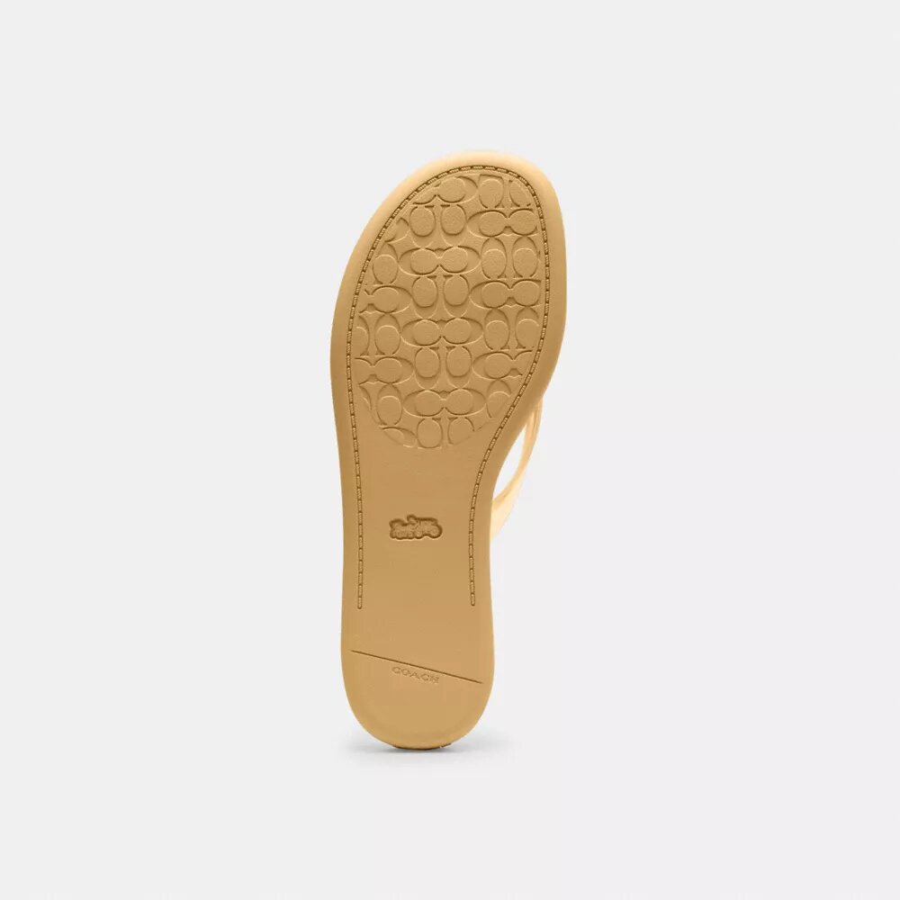 Jelly-flip-flops i signaturdesign
