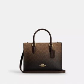 Maggie liten tygkassa i Ombre Signature Canvas