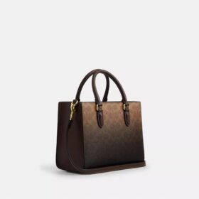 Maggie liten tygkassa i Ombre Signature Canvas