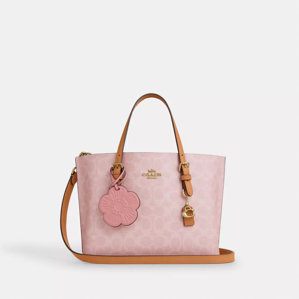 Mollie-tygkassa i 25 in Signature Canvas med smycken